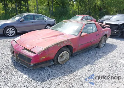 1984 Pontiac Firebird Trans Am из США, поврежденный, VIN 1G2AW87G3EL273898